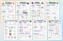 Biochemistry Study Notes &amp; Review Guide Product Image 2