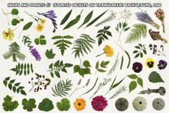 Big Mystic Scene Creator Product Image 10