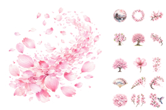 Watercolor Cherry Blossom, Spring Sakura Floral PNG Product Image 2