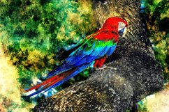 Collection of 12 Images 4k of BIRDS 300 dpi Product Image 2