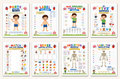 Human Body Explorer Workbook Product Image 2