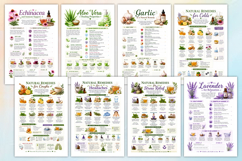 Natural Remedies Educational Workbook Product Image 2