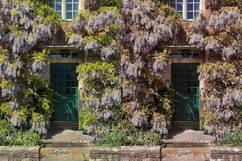 30 Blossom Lightroom Bundle Product Image 5