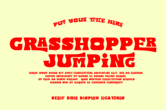 Trick Echo Product Image 2