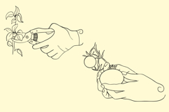 Elegant Hand Line Art: Gardening &amp; Flora Clipart 8 Elements Product Image 2