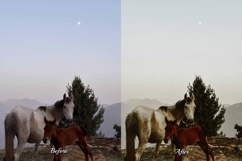 30 Countryside Lightroom Bundle Product Image 2