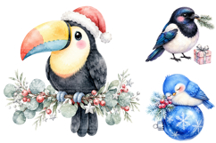 Watercolor Christmas Birds Clipart Bundle, Festive Winter Product Image 3