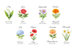 Watercolor Birth Month Flowers, Meaningful Floral PNG Bundle Product Image 2