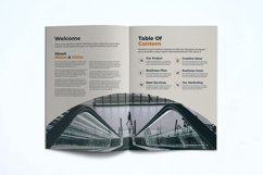 Business Brochure Template Product Image 9