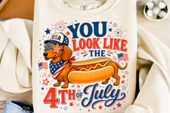 Funny 4th of July Hot Dog Dachshund PNG Product Image 1