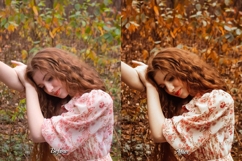 30 Fall Feel LUT Collection Product Image 6
