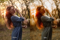 30 Golden Fall Lightroom Collection Product Image 2
