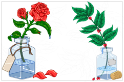 Glass Bottle with Decorative Plants Product Image 2