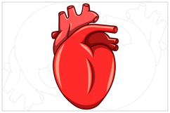 Realistic Heart with Bouquet of Roses Product Image 2