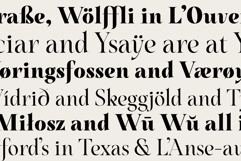 Nouvel Amour - A Modern Luxury Serif Product Image 3