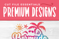 2026 Bermuda svg - Bermuda Vacation or Trip Design Product Image 3