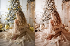 30 Presents Lightroom Bundle Product Image 2