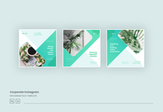 Elegant Corporate Instagram Post &amp; Story Template Product Image 3