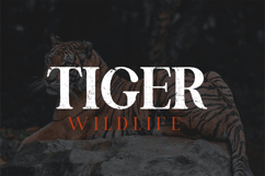 Carrington Product Image 2