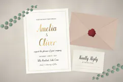 Wrenfield Script - Elegant Calligraphy Font Product Image 2