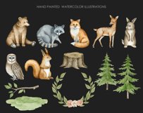 Watercolor woodland animals clipart. Forest clipart Product Image 3