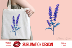 Wild flower lavender clipart |Vintage Summer flower graphics Product Image 1