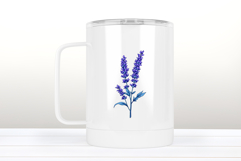 Wild flower lavender clipart |Vintage Summer flower graphics Product Image 3