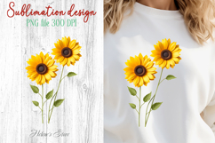 Cute Sunflowers sublimation design png|Yellow Floral Clipart Product Image 1