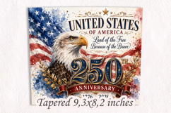 USA 250th Anniversary Eagle 20oz Tumbler Wrap PNG Product Image 3