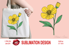 Wild flower buttercup clipart |Vintage Summer flower graphic Product Image 2