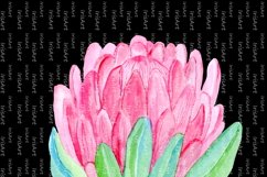 Watercolor Protea Flower - PNG Botanical Sublimation Design Product Image 3