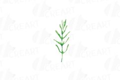 Lavender leaves and bouquets watercolor clip art pack Product Image 11