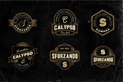 12 Hand Drawn Vintage Badges v.1 Product Image 1