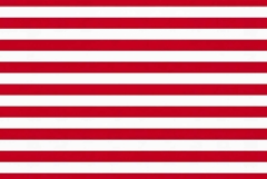 American flag design 4th of July Patriotic Product Image 1
