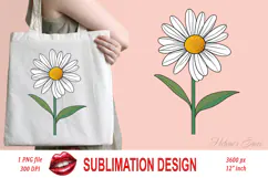 Wild flower daisy clipart |Vintage Summer flower graphics Product Image 1