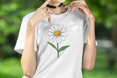 Wild flower daisy clipart |Vintage Summer flower graphics Product Image 4