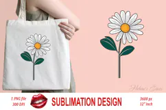 Wild flower daisy clipart |Vintage Summer flower graphics Product Image 2