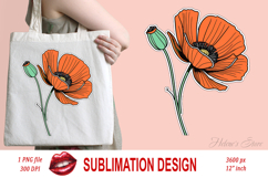Wild flower poppy clipart |Vintage Summer flower graphics Product Image 1
