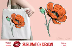 Wild flower poppy clipart |Vintage Summer flower graphics Product Image 1