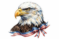 Bald Eagle Portrait Watercolor Clipart PNG Product Image 1