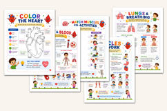 Human Body Explorer Workbook Product Image 5