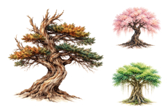 Watercolor Tree Clipart Bundle Product Image 3