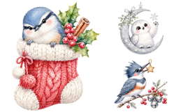 Watercolor Christmas Birds Clipart Bundle, Festive Winter Product Image 1