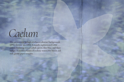 Caelum - Botanical Backgrounds Product Image 3