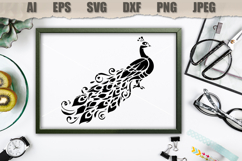 Stencil Peacock Bird Product Image 3