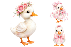 Cute Pink Floral Duck Clipart Bundle Product Image 3