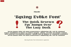Boxing Evoke Product Image 3