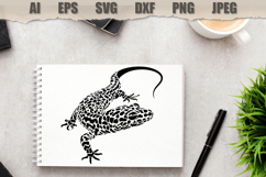 Stencil Lizard Reptile Product Image 3