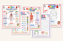 Human Body Workbook Product Image 3