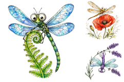 Whimsical Dragonfly Clipart Bundle, Watercolor Garden PNG Product Image 3